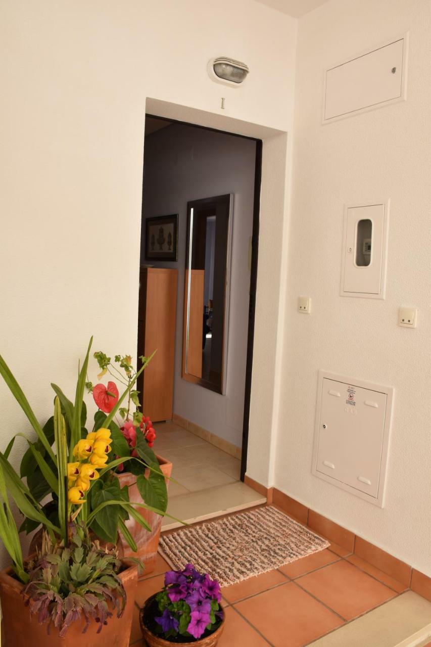Apartmán Sesimbra Terrace Oasis Exteriér fotografie